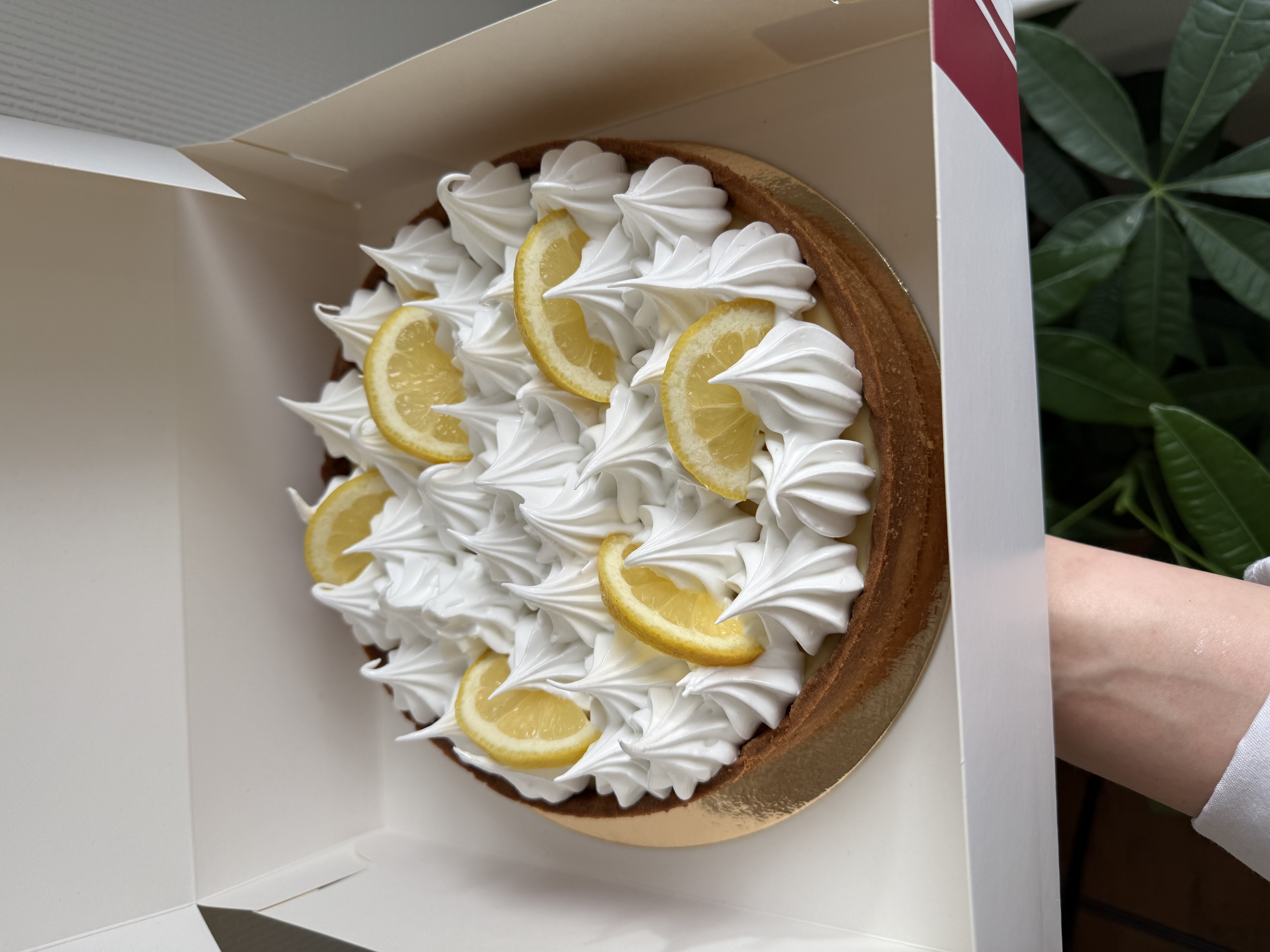 Tarte citron meringue