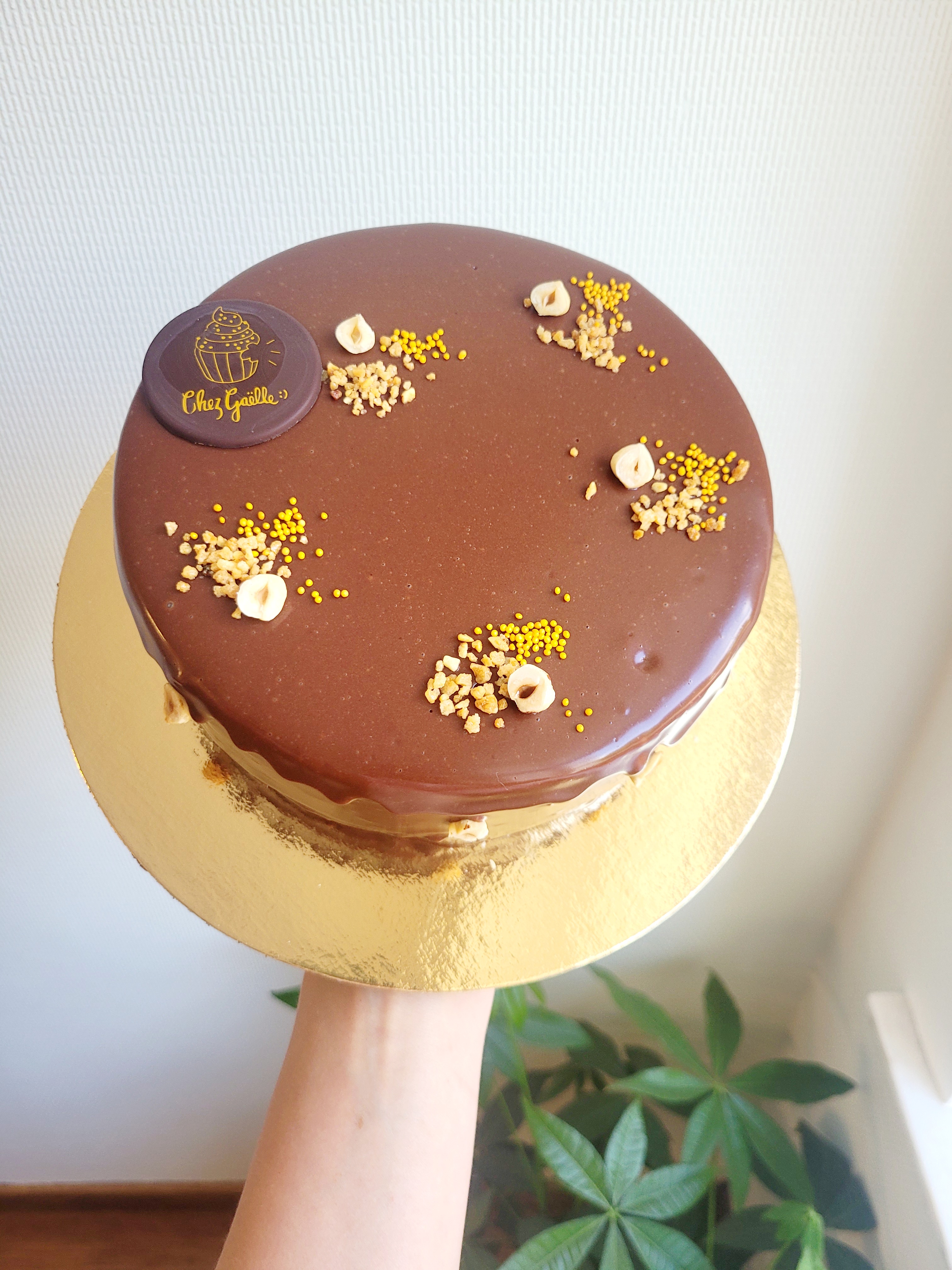 Entremet chocolat noisettes