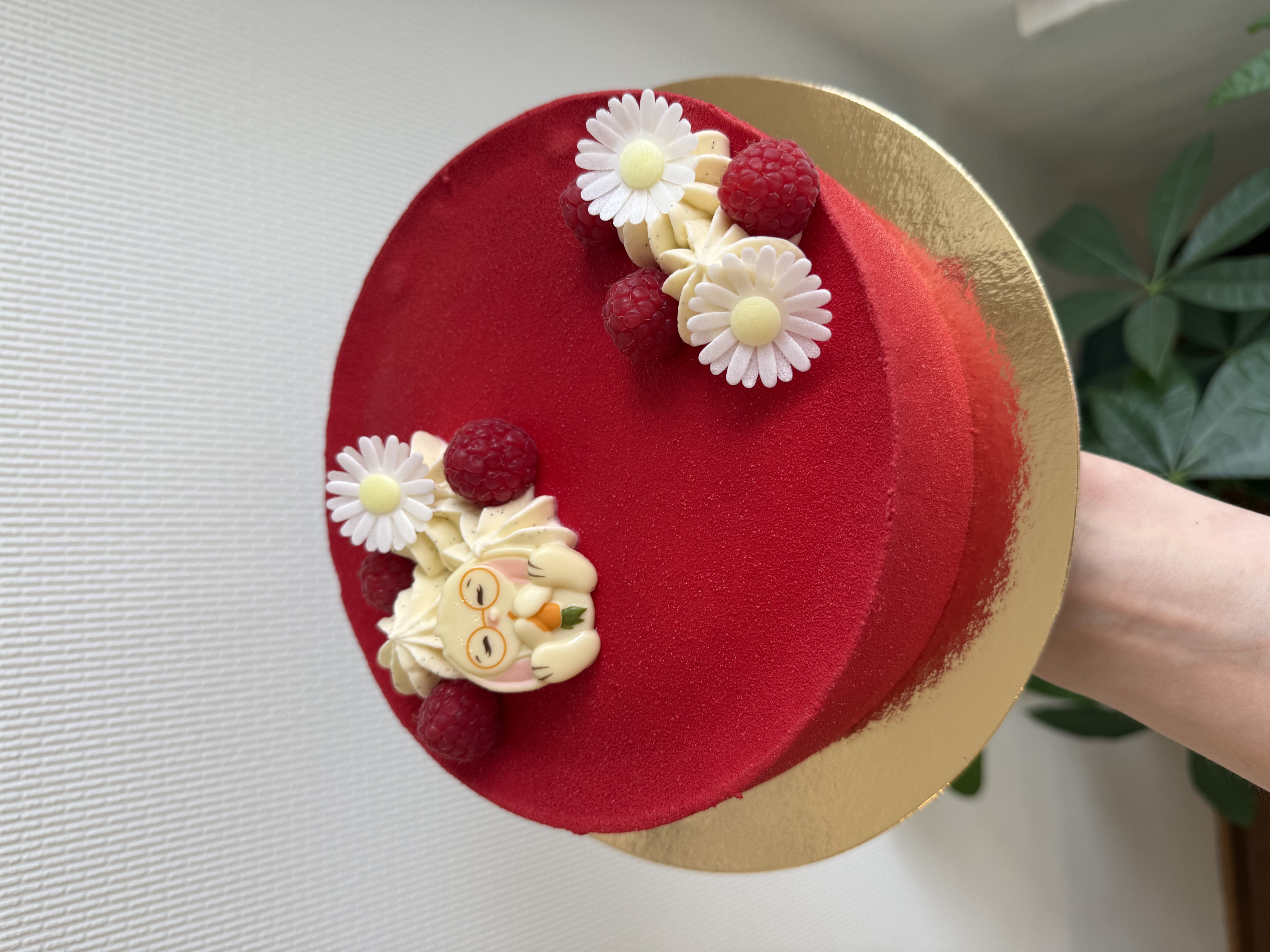 Entremet coco framboise